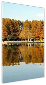 Üvegkép nyomtatás Park ősszel osv-99522421