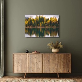 Erdei tó képe (90x60 cm)