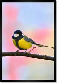 Poszter keretben 40x60 Sárga madár