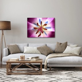 Kép - Tulipán virág részletesen (70x50 cm)