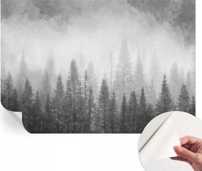 Öntapadós Dekoratív Fotótapéta Hálószobába Erdei köd 152x104 cm
