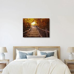 Üveg kép - Lépcsők a természetben ősszel (70x50 cm)
