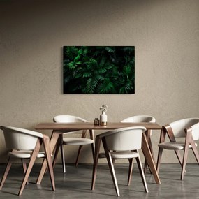 Kép - trópusi páfrány (90x60 cm)