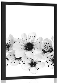 Poszter cseresznye virág fekete fehérben