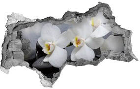 3d fali matrica lyuk a falban Orchidea nd-b-144310520