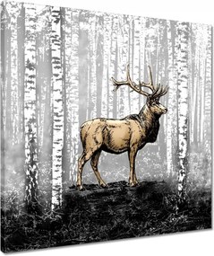 Vászonkép 50x50 Szarvas Nyírfa Erdő