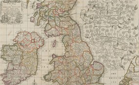 Flizelin tapéta Divatos 3D fali ragasztóval Antik térkép 416x254 Ragasztó