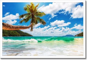 Poszter keretben 60x40 Trópusok Tájkép Pálmafák