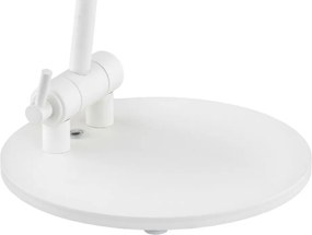 Argon AVALONE 8000 Asztali lámpa 1x15W/E27 IP20