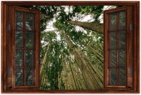 Poszterek 60x40 Fák