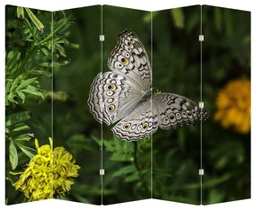 Paraván - Fehér pillangó (210x170 cm)