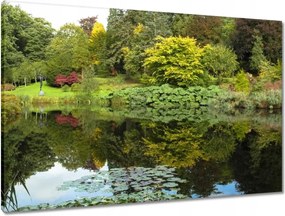 Vászonkép 90x60 Park tükröződés