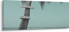 Kép - Palma a Karib-tengeren (120x50 cm)