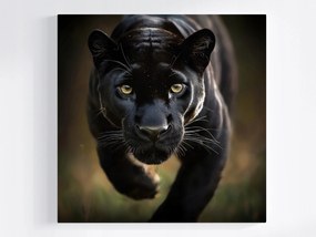 Canvas Vászonkép Állat Ragadozó Macska Fekete Párduc Puma 80x80