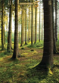 5 Pln-es Pénzperek XXL falikép 50x70 cm Erdő