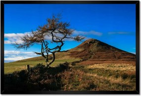 Poszterek keretben 60x40 Elpusztíthatatlan fa