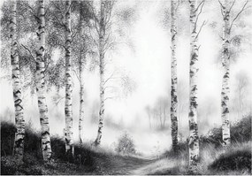 Fotótapéta Erdő Fák Fekete-fehér Hálószoba Nappali Tapéta Flizelina 250x175