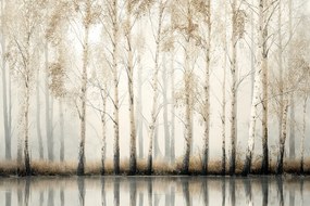 Fotótapéta Flizelina Fák Erdő Liget Nyírfa Víz Ősz Köd 312x219 ragasztó