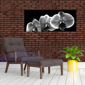 Egy orchidea virág képe (120x50 cm)