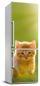 Dekor matrica hűtőre Red cat FridgeStick-70x190-f-84856459