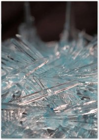 Poszterek 70x100 Makrofotó MacroFoto