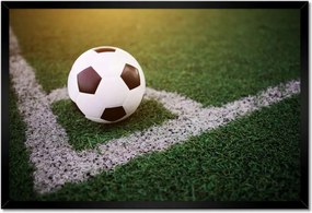 Poszterek keretben 60x40 Labda szögletrúgás Ág