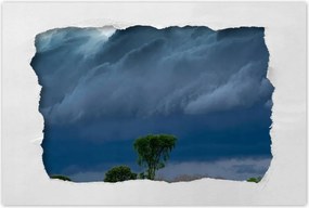 Poszterek 90x60 KukoricamezĆ FĂĄk