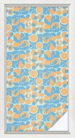 Ablakfólia Szélvédő Adatvédelem Hal citrus 50x100 cm