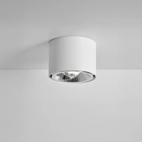 KAJA K-5133 HORN Fehér Színű Spotlámpa 1xGU10/AR111 10W IP20