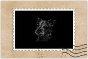 Poszterek 120x80 Fekete kutyus kutya