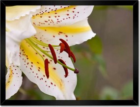 Poszterek keretben 40x30 Nőnap Ajándék Love