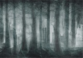 Design fotótapéta Flizelin falra Rejtélyes erdő 208x146 Ragasztó