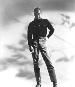 Művészeti fotózás Paul Newman, (35 x 40 cm)