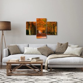 Kép - A Avenue of fák ősszel (90x60 cm)