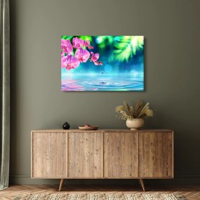 Kép - Orchidea (90x60 cm)