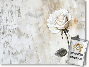 Fotótapéta Flizelina Szerkezet Vakolat Utánzat Fehér Rózsa Boho 254x184 ragasztó