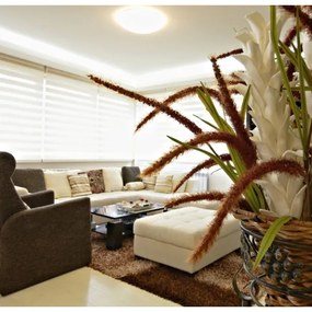 Ecolite WZSD-50W/LED - LED dimmelhető lámpa DIAMANT LED/50W/230V + DO