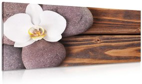 Kép wellness kövek és orchidea fa háttéren