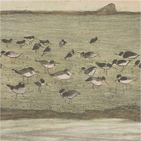 Fotótapéta Dekoratív Fali Tapéta Madár nyugalom képek 250x250