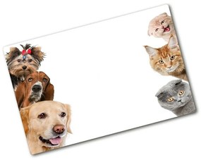 Üveg vágódeszka Kutyák és macskák pl-ko-80x52-f-104206550