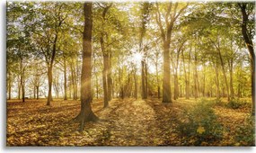 Vászonkép Nap a fák között az erdőben 90x60 cm Ideális ajándék