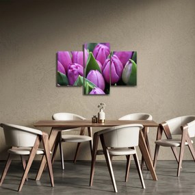 Kép - tulipánok (90x60 cm)