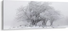 Kép - fehér tél (120x50 cm)