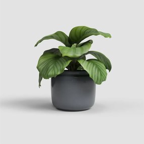 Kerámia kézzel készített virágcserép ø 20 cm Astrea – Artevasi