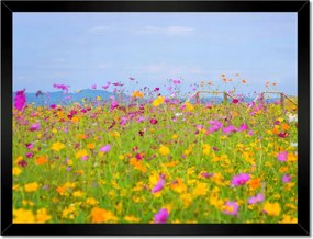 Poszterek keretben 40x30 Virágtenger Virágok