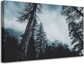 Vászonkép Természet Korona Fák Erdő 80x50 cm