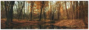 Poszterek 200x66 Őszi táj Tájkép