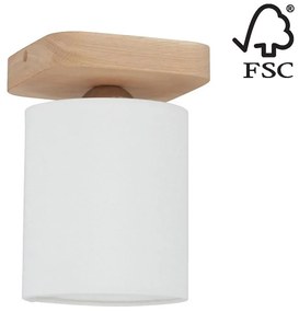 Spot-Light 8512174 - Mennyezeti lámpa JENTA 1xE27/25W/230V