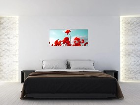 Fényes piros virágokkal rendelkező mező képe (120x50 cm)
