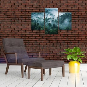 Kép - Erdő ködben (90x60 cm)